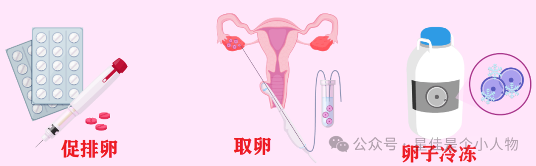 卵子冷冻, 医学专科, 心理咨询