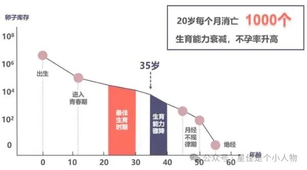 试管婴儿, 35岁女性, 生育选择